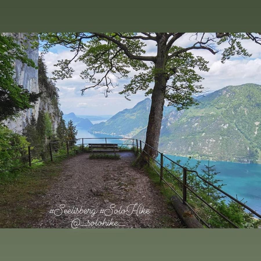 Schoene Ferienwohnung In Traumlage Fewo Solohike ゼーリスベルク エクステリア 写真